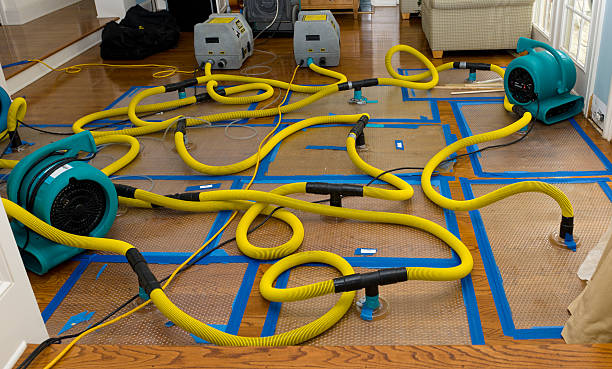 Professional Water Damage Repair technician working in Columbus, MN